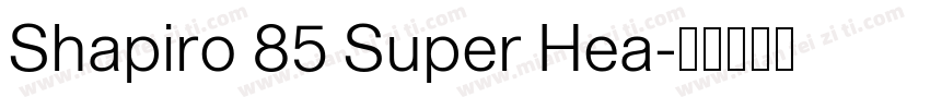 Shapiro 85 Super Hea字体转换
